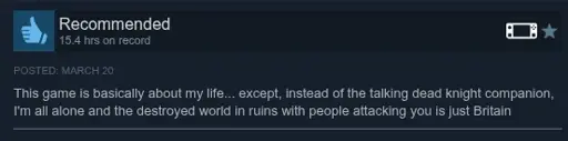 A steam review, with the following description: This game is basically about my life... except, instead of the talking dead knight companion, I'm all alone and the destroyed world in ruins with people attacking you is just Britain.